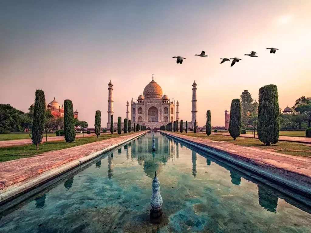 Find weed in Agra