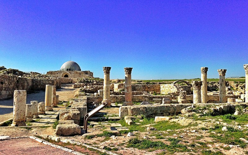 Find weed in Amman
