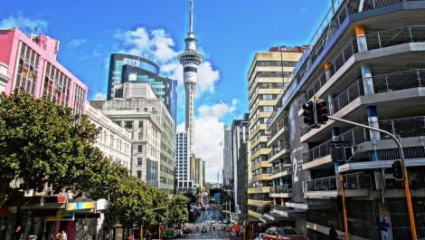 Find weed in Auckland