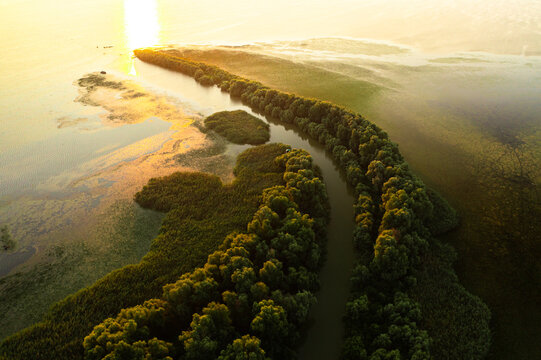 Find weed in Danube Delta