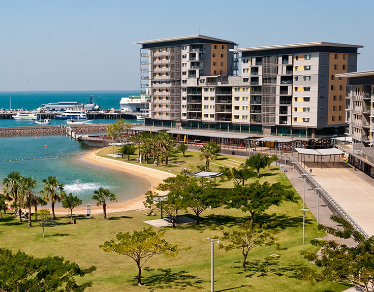 Find weed in Darwin