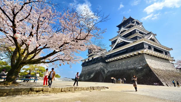 Find weed in Fukuoka