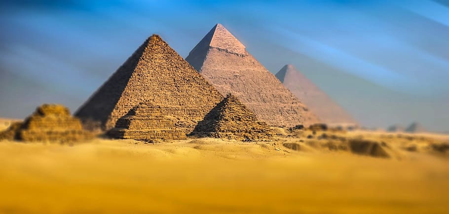 Find weed in Giza