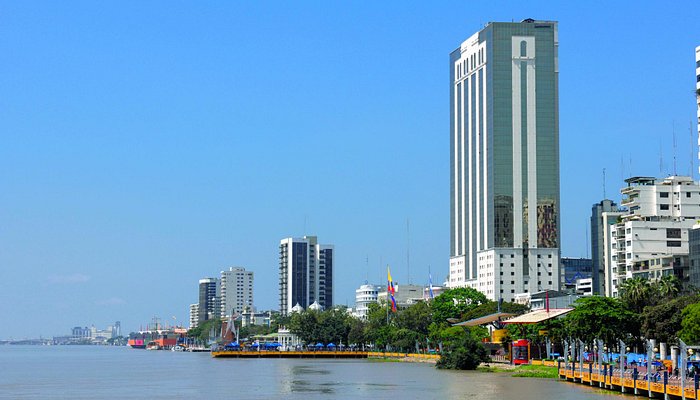 Find weed in Guayaquil