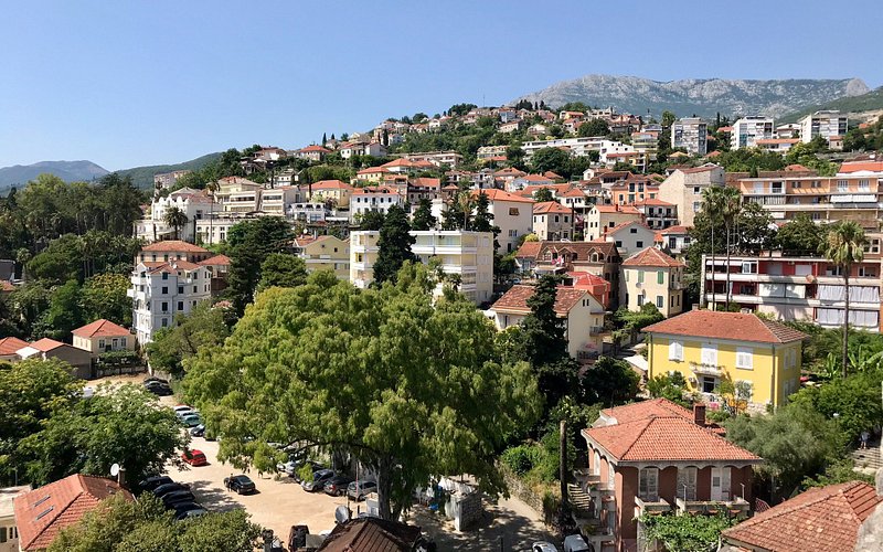 Find weed in Herceg Novi