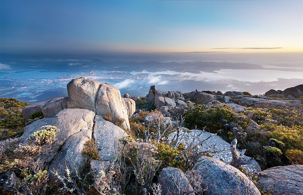 Find weed in Hobart