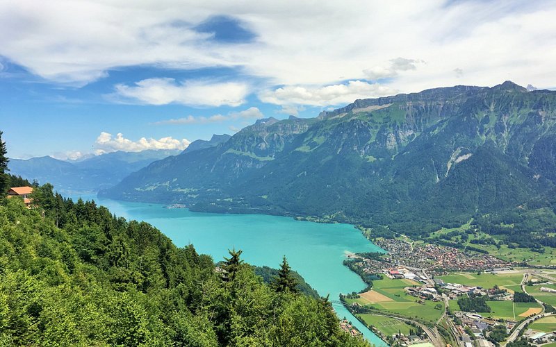 Find weed in Interlaken