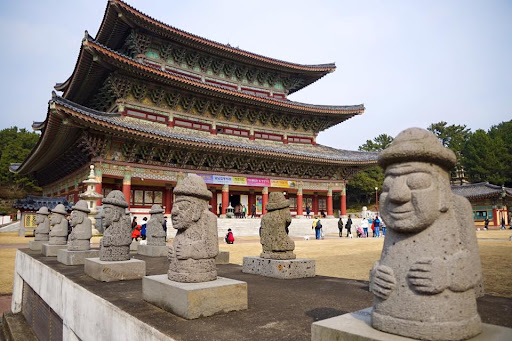 Find weed in Jeju Island
