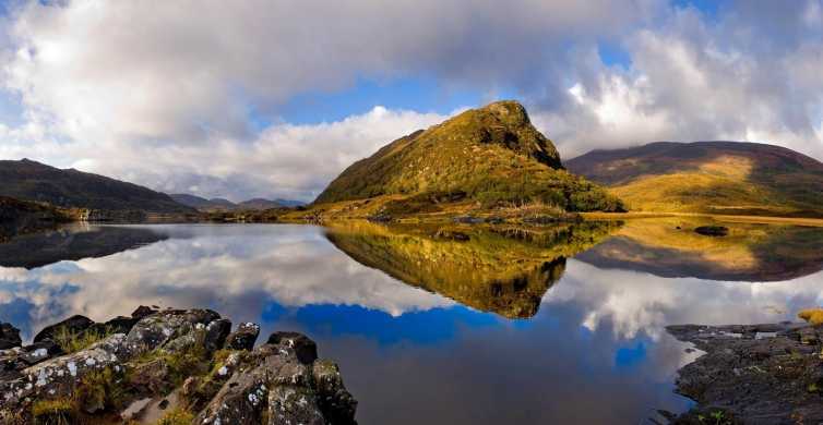 Find weed in Killarney
