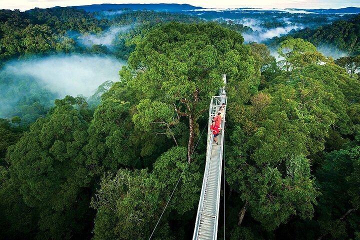Find weed in Monteverde