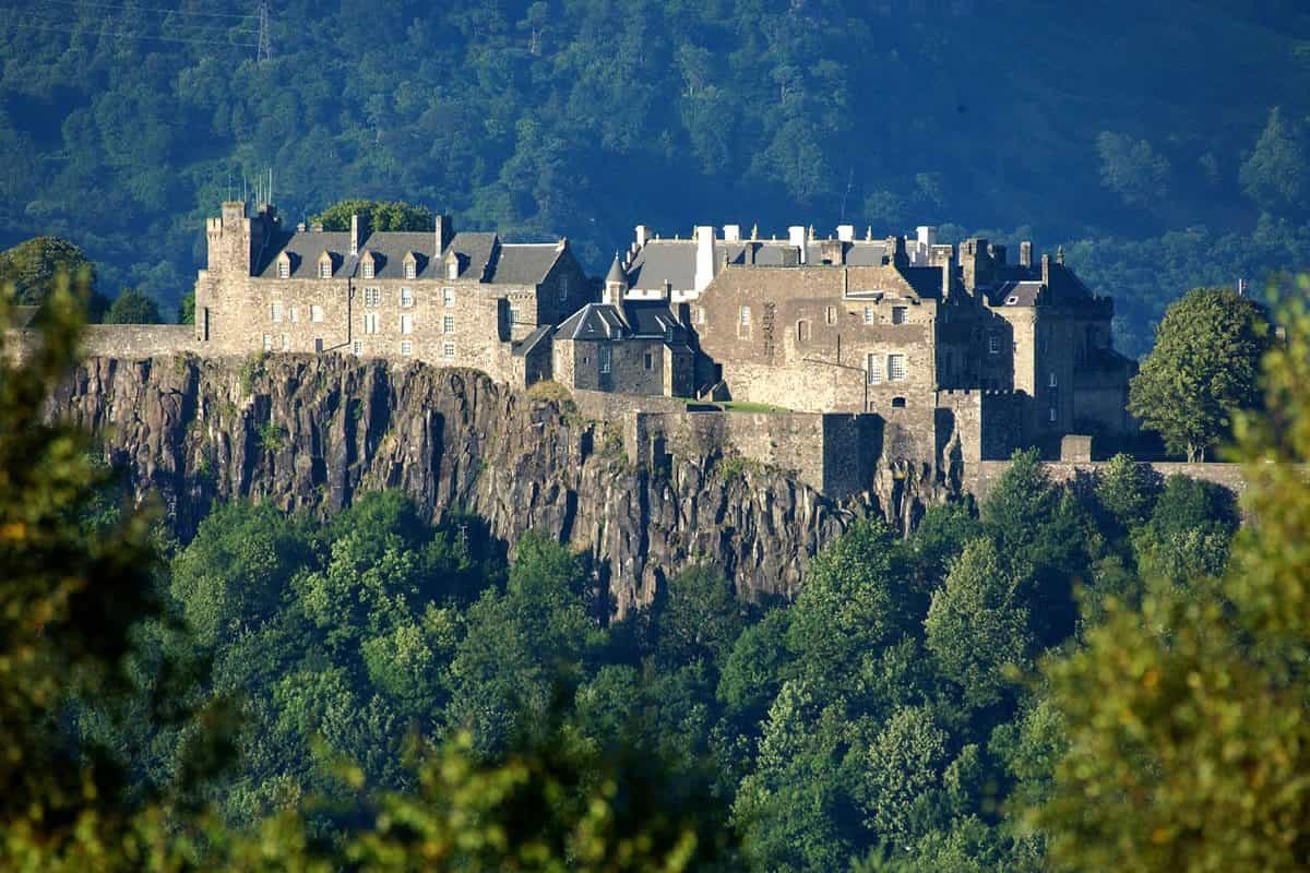 Find weed in Stirling
